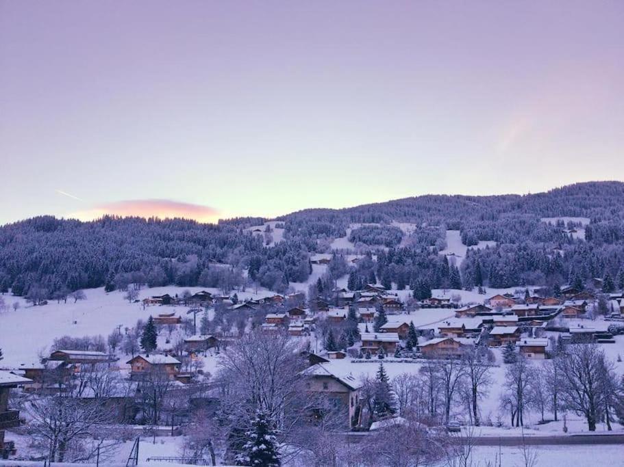 Pied-A-Terre Cosy Face Aux Pistes De La Princesse Apartman Demi-Quartier Kültér fotó